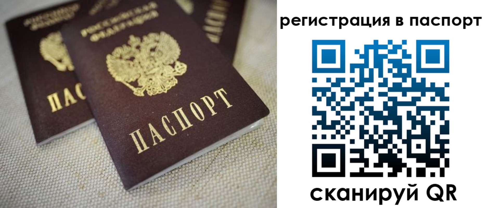 прописка гарантия в Пугачёве